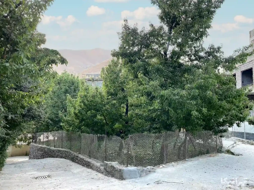 روستای افجه