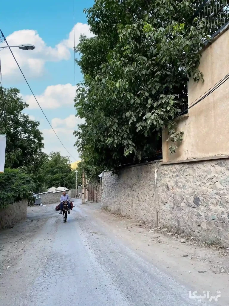 روستای افجه