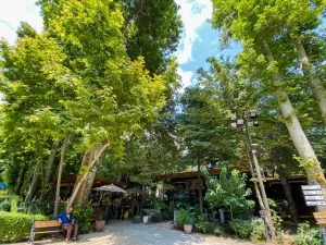 کافه لاوندر باغ فردوس