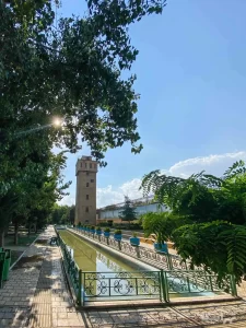 باغ موزه قصر