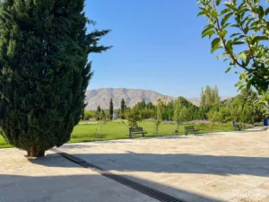 گلخانه جنوب ایران