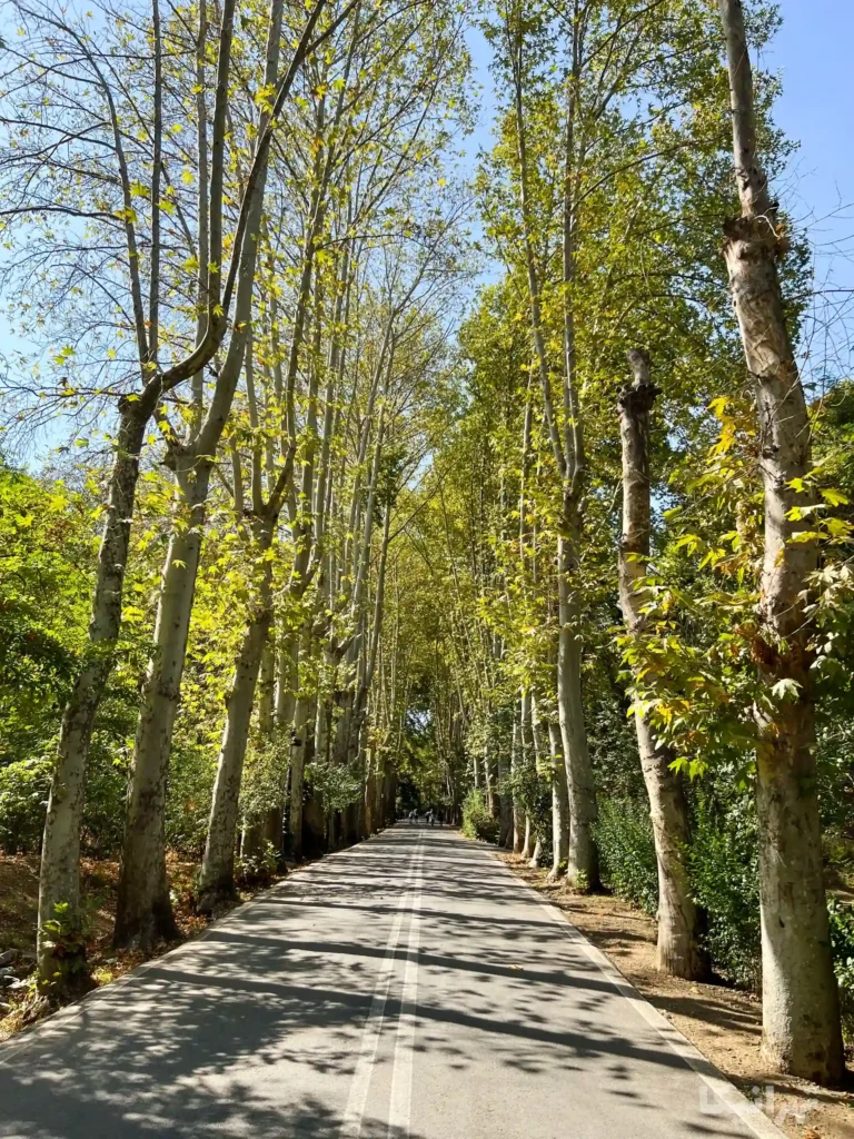 باغ کاخ سعدآباد