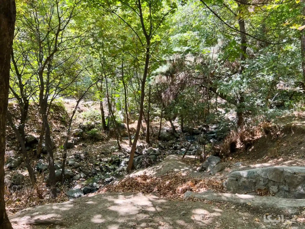 باغ کاخ سعدآباد