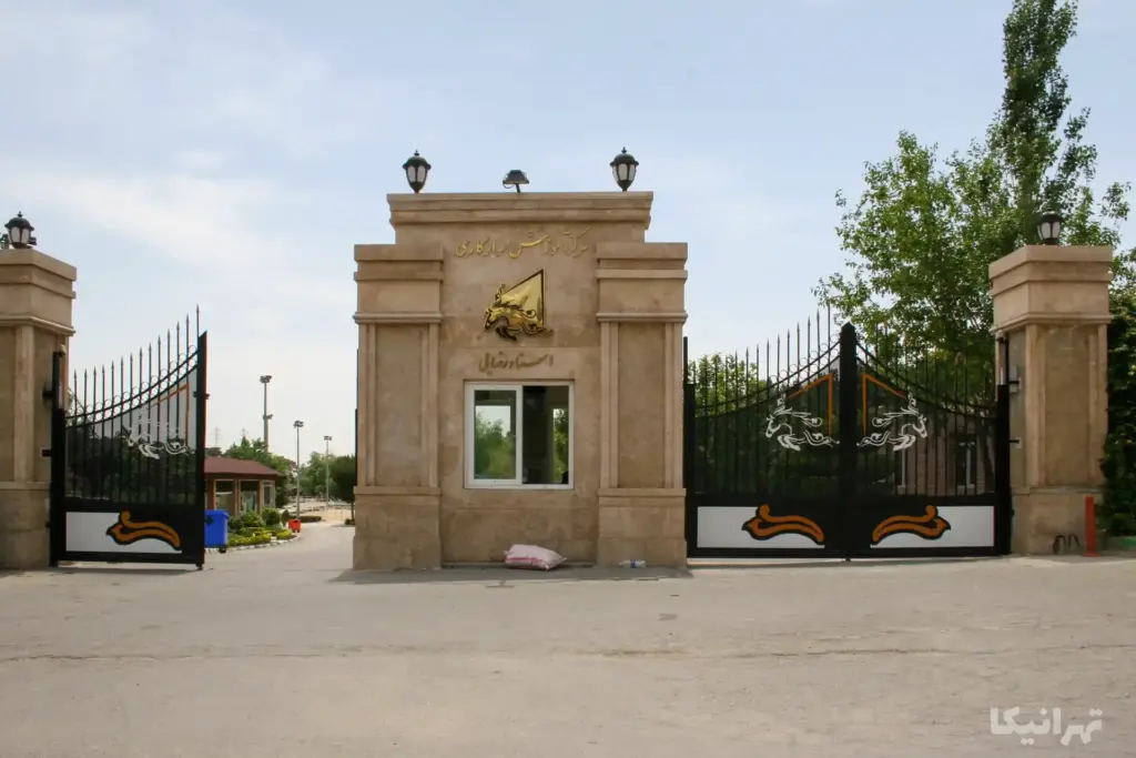 مرکز آموزش سوارکاری استاد رضایی چیتگر