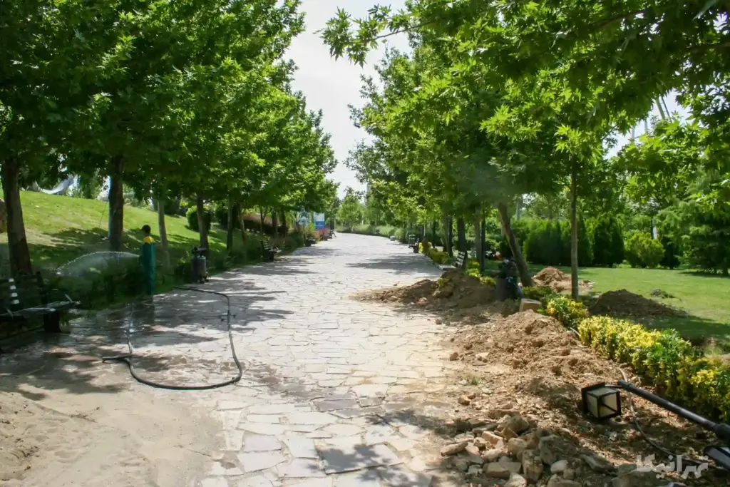 پارک جنگلی چیتگر
