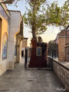 چنار قدیمی آرامگاه امامزاده یحیی