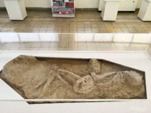 اسکلت ۷۰۰۰ ساله خیابان مولوی - موزه ایران باستان