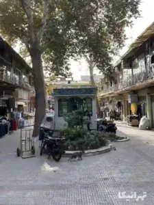 دو درخت چنار و دکه میان حیاط سرای احمدی بازار